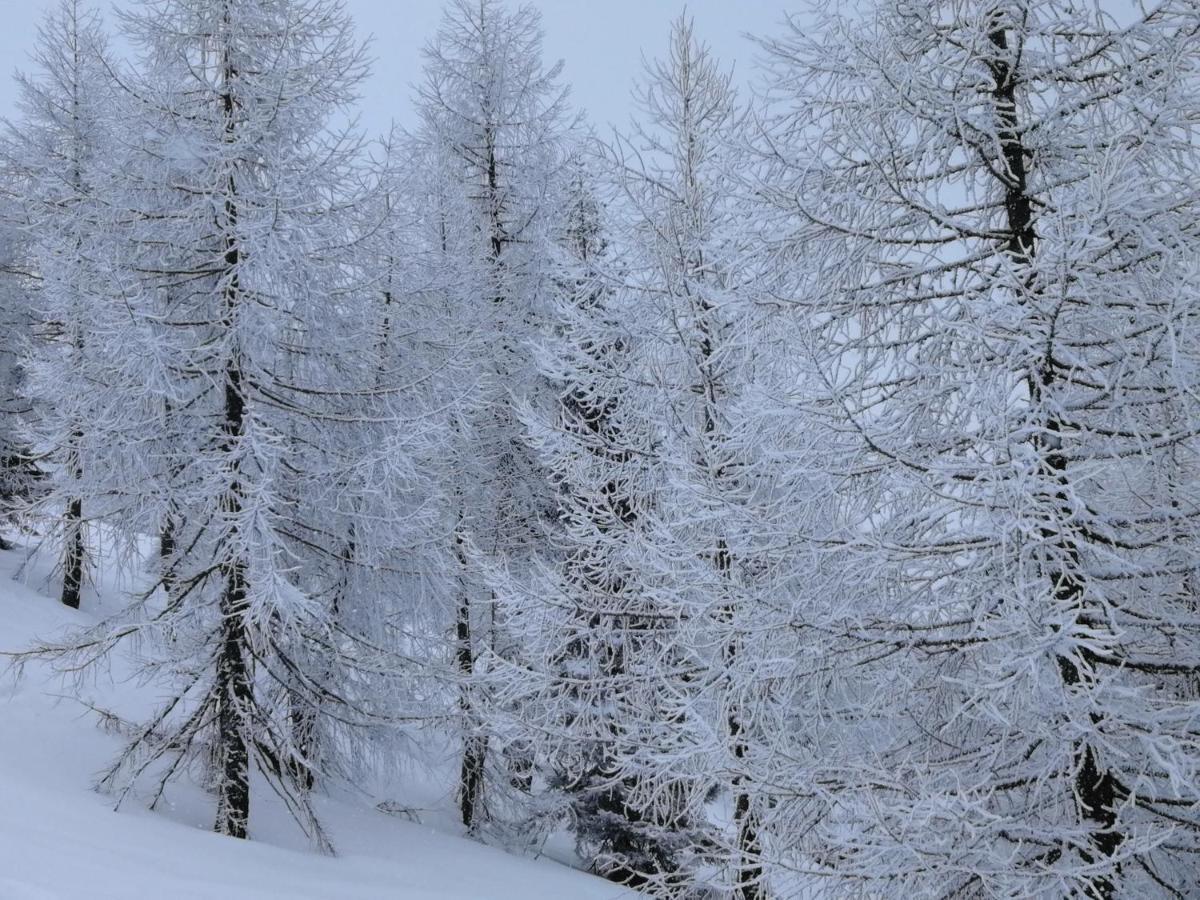 Hotel Dolomiti Levico Terme Εξωτερικό φωτογραφία